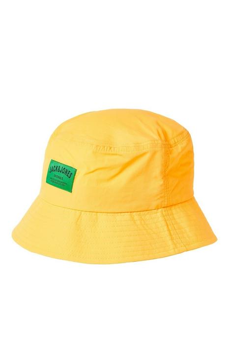 Men's Hats 1518822